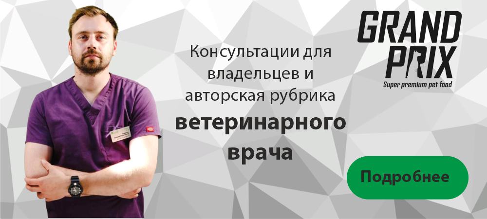 Колонка ветеринарного врача Колонка ветеринарного врача