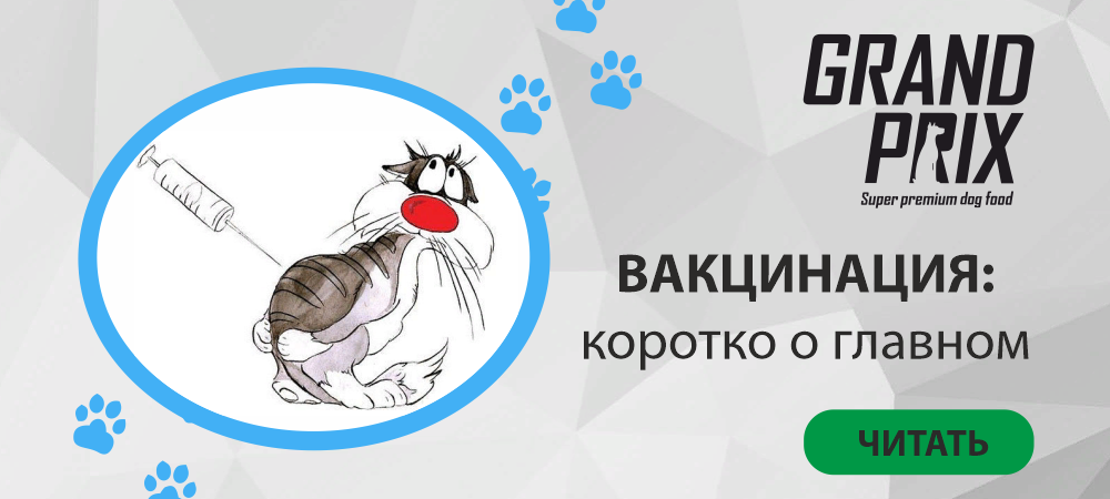 Вакцинация. Коротко о главном Вакцинация. Коротко о главном